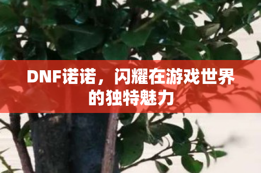 DNF诺诺,闪耀在游戏世界的独特魅力 DNF诺诺,闪耀在游戏世界的独特魅力