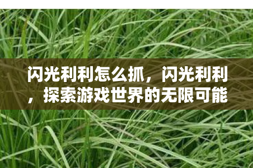 闪光利利怎么抓,闪光利利,探索游戏世界的无限可能 闪光利利怎么抓,闪光利利,探索游戏世界的无限可能