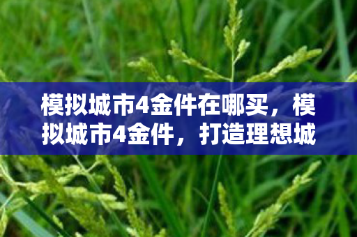 模拟城市4金件在哪买,模拟城市4金件,打造理想城市的秘密武器 模拟城市4金件在哪买,模拟城市4金件,打造理想城市的秘密武器