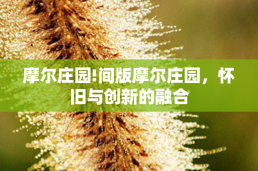 摩尔庄园!间版摩尔庄园,怀旧与创新的融合 摩尔庄园!间版摩尔庄园,怀旧与创新的融合