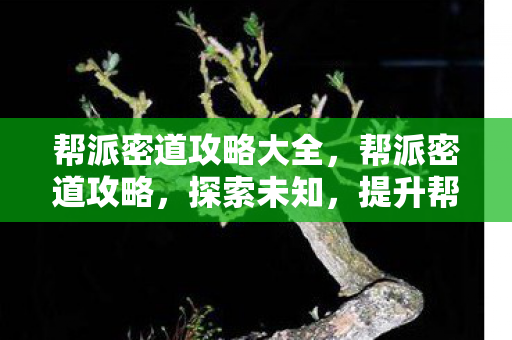 帮派密道攻略大全,帮派密道攻略,探索未知,提升帮派实力 帮派密道攻略大全,帮派密道攻略,探索未知,提升帮派实力