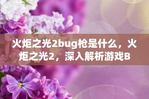 火炬之光2bug枪是什么,火炬之光2,深入解析游戏BUG与官方修复之路 火炬之光2bug枪是什么,火炬之光2,深入解析游戏BUG与官方修复之路
