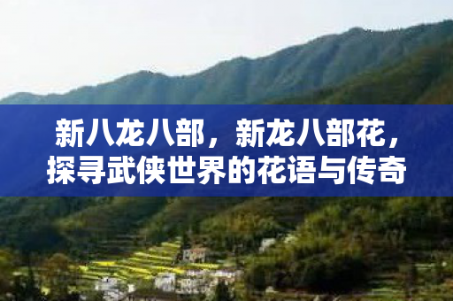 新八龙八部,新龙八部花,探寻武侠世界的花语与传奇 新八龙八部,新龙八部花,探寻武侠世界的花语与传奇