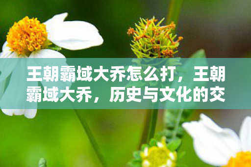 王朝霸域大乔怎么打,王朝霸域大乔,历史与文化的交汇点 王朝霸域大乔怎么打,王朝霸域大乔,历史与文化的交汇点