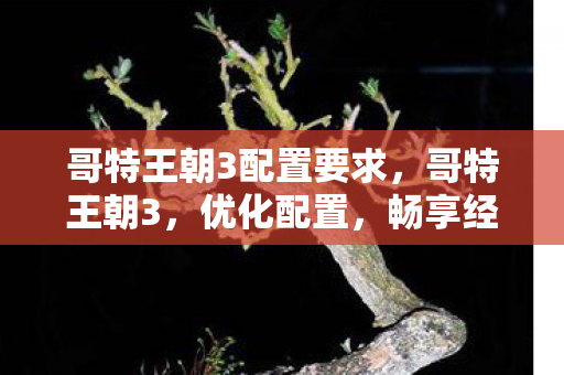 哥特王朝3配置要求,哥特王朝3,优化配置,畅享经典游戏 哥特王朝3配置要求,哥特王朝3,优化配置,畅享经典游戏