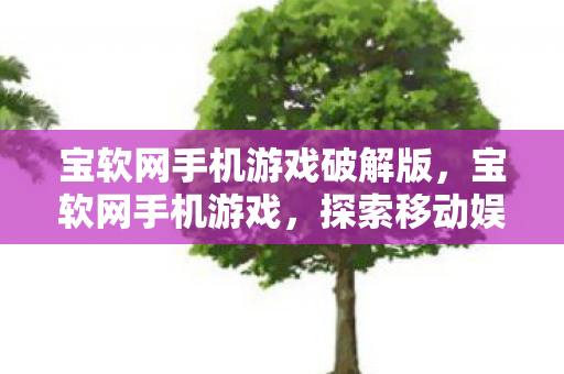 宝软网手机游戏破解版,宝软网手机游戏,探索移动娱乐的新边界 宝软网手机游戏破解版,宝软网手机游戏,探索移动娱乐的新边界