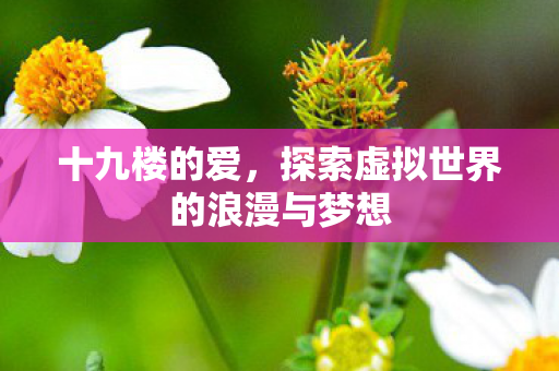 十九楼的爱,探索虚拟世界的浪漫与梦想 十九楼的爱,探索虚拟世界的浪漫与梦想