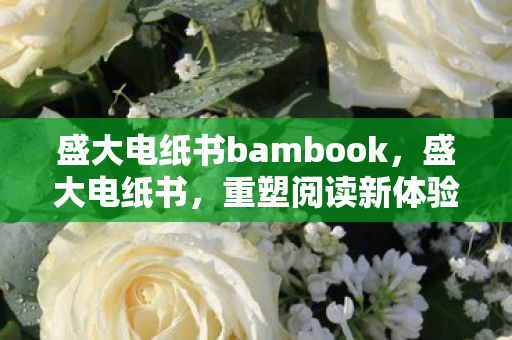 盛大电纸书bambook，盛大电纸书，重塑阅读新体验