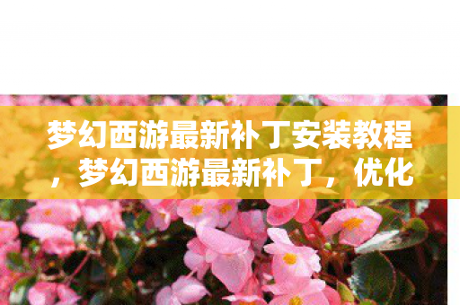 梦幻西游最新补丁安装教程,梦幻西游最新补丁,优化游戏体验,提升游戏安全 梦幻西游最新补丁安装教程,梦幻西游最新补丁,优化游戏体验,提升游戏安全