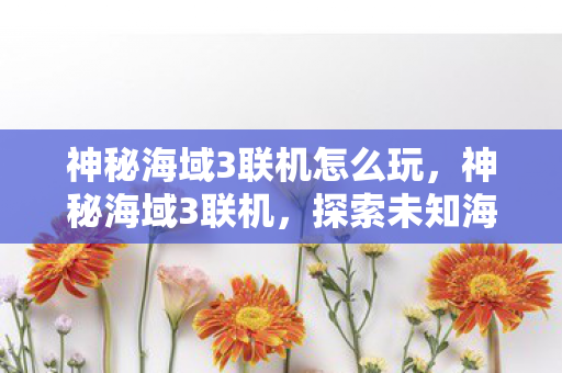 神秘海域3联机怎么玩,神秘海域3联机,探索未知海域的极致体验 神秘海域3联机怎么玩,神秘海域3联机,探索未知海域的极致体验