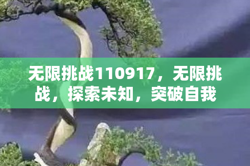 无限挑战110917,无限挑战,探索未知,突破自我 无限挑战110917,无限挑战,探索未知,突破自我