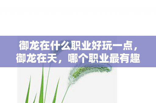 御龙在什么职业好玩一点,御龙在天,哪个职业最有趣? 御龙在什么职业好玩一点,御龙在天,哪个职业最有趣?