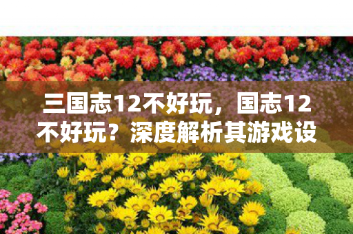 三国志12不好玩,国志12不好玩?深度解析其游戏设计与玩家体验 三国志12不好玩,国志12不好玩?深度解析其游戏设计与玩家体验