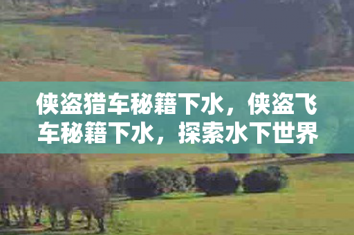 侠盗猎车秘籍下水,侠盗飞车秘籍下水,探索水下世界的奇妙之旅 侠盗猎车秘籍下水,侠盗飞车秘籍下水,探索水下世界的奇妙之旅