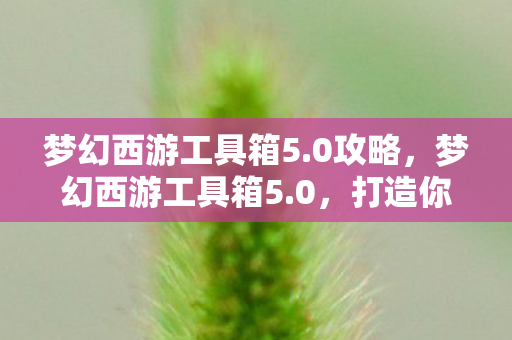 梦幻西游工具箱5.0攻略,梦幻西游工具箱5.0,打造你的专属游戏助手 梦幻西游工具箱5.0攻略,梦幻西游工具箱5.0,打造你的专属游戏助手