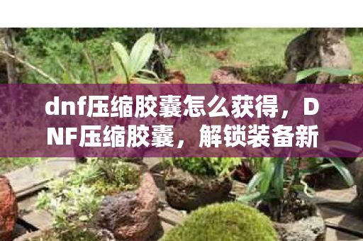 dnf压缩胶囊怎么获得,DNF压缩胶囊,解锁装备新境界的神奇道具 dnf压缩胶囊怎么获得,DNF压缩胶囊,解锁装备新境界的神奇道具