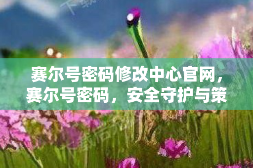 赛尔号密码修改中心官网,赛尔号密码,安全守护与策略建议 赛尔号密码修改中心官网,赛尔号密码,安全守护与策略建议