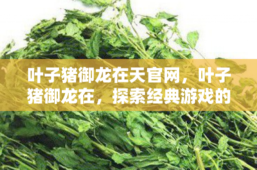 叶子猪御龙在天官网,叶子猪御龙在,探索经典游戏的魅力与传承 叶子猪御龙在天官网,叶子猪御龙在,探索经典游戏的魅力与传承