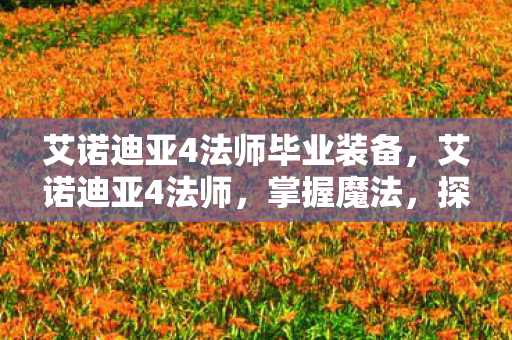 艾诺迪亚4法师毕业装备,艾诺迪亚4法师,掌握魔法,探索未知 艾诺迪亚4法师毕业装备,艾诺迪亚4法师,掌握魔法,探索未知