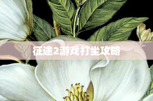 征途2游戏打坐攻略 征途2游戏打坐攻略