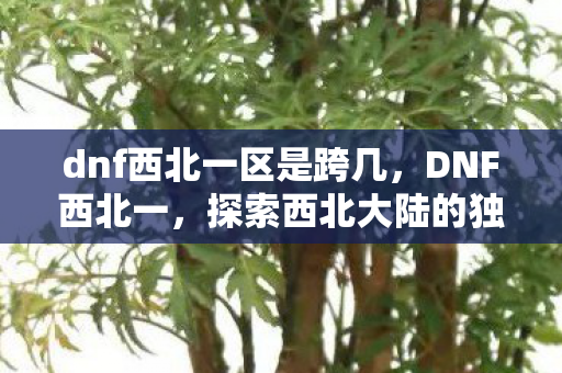 dnf西北一区是跨几，DNF西北一，探索西北大陆的独特魅力