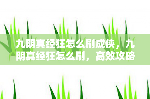 九阴真经狂怎么刷成侠,九阴真经狂怎么刷,高效攻略与策略分享 九阴真经狂怎么刷成侠,九阴真经狂怎么刷,高效攻略与策略分享