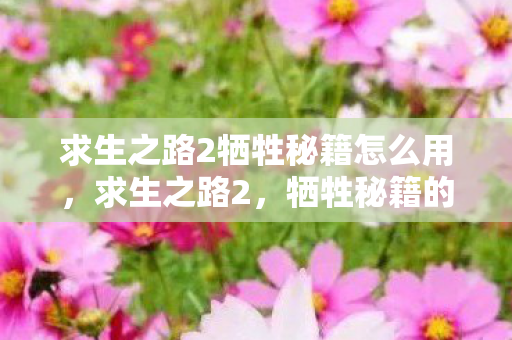 求生之路2牺牲秘籍怎么用,求生之路2,牺牲秘籍的终极指南 求生之路2牺牲秘籍怎么用,求生之路2,牺牲秘籍的终极指南