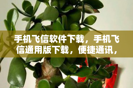 手机飞信软件下载,手机飞信通用版下载,便捷通讯,尽享高效生活 手机飞信软件下载,手机飞信通用版下载,便捷通讯,尽享高效生活