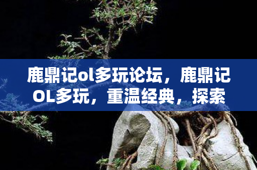 鹿鼎记ol多玩论坛，鹿鼎记OL多玩，重温经典，探索武侠世界的无限可能