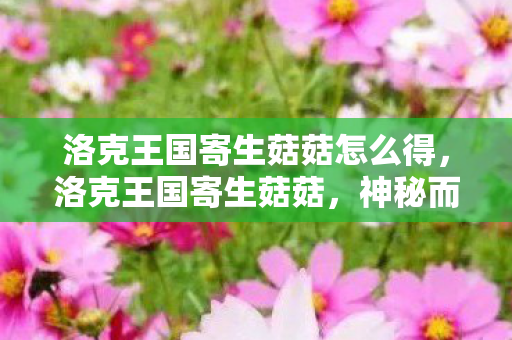 洛克王国寄生菇菇怎么得,洛克王国寄生菇菇,神秘而强大的存在 洛克王国寄生菇菇怎么得,洛克王国寄生菇菇,神秘而强大的存在