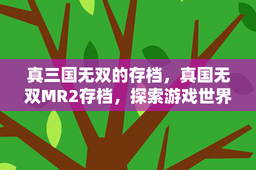 真三国无双的存档,真国无双MR2存档,探索游戏世界的无尽可能 真三国无双的存档,真国无双MR2存档,探索游戏世界的无尽可能