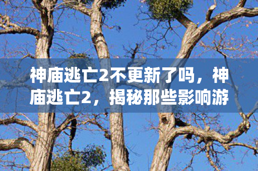 神庙逃亡2不更新了吗，神庙逃亡2，揭秘那些影响游戏体验的bug