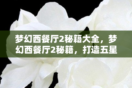 梦幻西餐厅2秘籍大全,梦幻西餐厅2秘籍,打造五星级餐厅的秘诀 梦幻西餐厅2秘籍大全,梦幻西餐厅2秘籍,打造五星级餐厅的秘诀