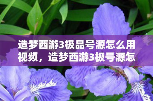 造梦西游3极品号源怎么用视频，造梦西游3极号源怎么用