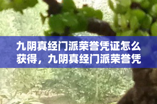 九阴真经门派荣誉凭证怎么获得,九阴真经门派荣誉凭证,荣耀与传承的见证 九阴真经门派荣誉凭证怎么获得,九阴真经门派荣誉凭证,荣耀与传承的见证