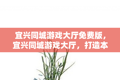 宜兴同城游戏大厅免费版,宜兴同城游戏大厅,打造本地游戏新体验 宜兴同城游戏大厅免费版,宜兴同城游戏大厅,打造本地游戏新体验