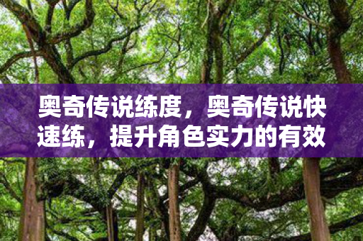 奥奇传说练度,奥奇传说快速练,提升角色实力的有效策略 奥奇传说练度,奥奇传说快速练,提升角色实力的有效策略