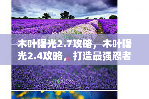 木叶曙光2.7攻略,木叶曙光2.4攻略,打造最强忍者阵容 木叶曙光2.7攻略,木叶曙光2.4攻略,打造最强忍者阵容