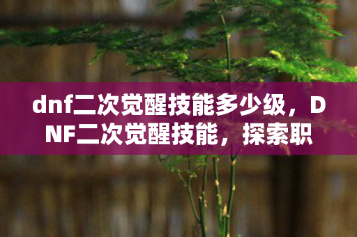 dnf二次觉醒技能多少级,DNF二次觉醒技能,探索职业新境界的奥秘 dnf二次觉醒技能多少级,DNF二次觉醒技能,探索职业新境界的奥秘