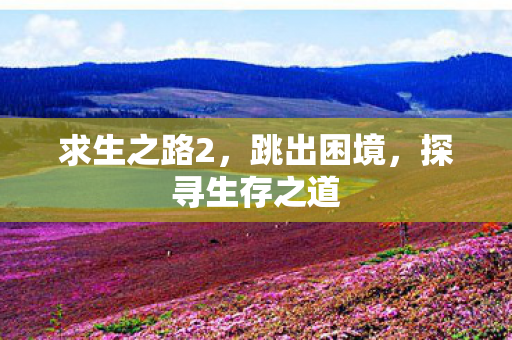 求生之路2,跳出困境,探寻生存之道 求生之路2,跳出困境,探寻生存之道