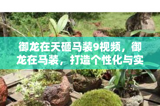 御龙在天砸马装9视频,御龙在马装,打造个性化与实用性的完美结合 御龙在天砸马装9视频,御龙在马装,打造个性化与实用性的完美结合