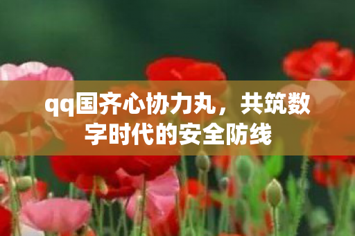 qq国齐心协力丸，共筑数字时代的安全防线