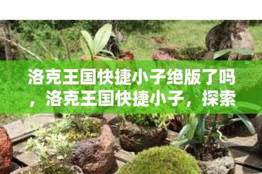 洛克王国快捷小子绝版了吗，洛克王国快捷小子，探索王国的奇妙之旅