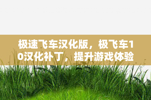 极速飞车汉化版,极飞车10汉化补丁,提升游戏体验的必备利器 极速飞车汉化版,极飞车10汉化补丁,提升游戏体验的必备利器