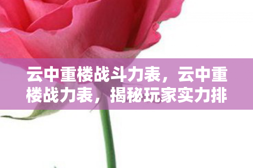 云中重楼战斗力表，云中重楼战力表，揭秘玩家实力排名的奥秘