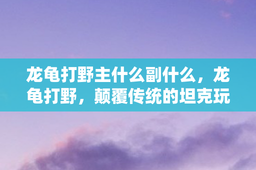 龙龟打野主什么副什么,龙龟打野,颠覆传统的坦克玩法 龙龟打野主什么副什么,龙龟打野,颠覆传统的坦克玩法