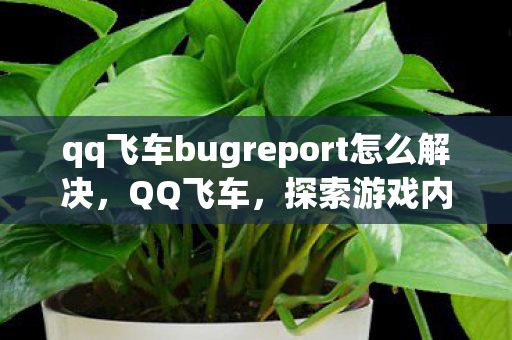 qq飞车bugreport怎么解决，QQ飞车，探索游戏内的奇妙Bug与修复之旅