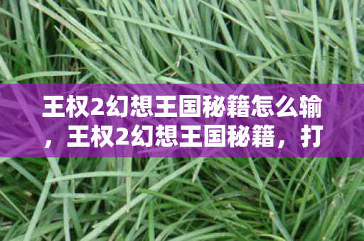 王权2幻想王国秘籍怎么输,王权2幻想王国秘籍,打造你的王国之路 王权2幻想王国秘籍怎么输,王权2幻想王国秘籍,打造你的王国之路