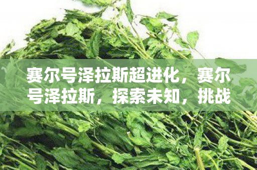 赛尔号泽拉斯超进化，赛尔号泽拉斯，探索未知，挑战极限