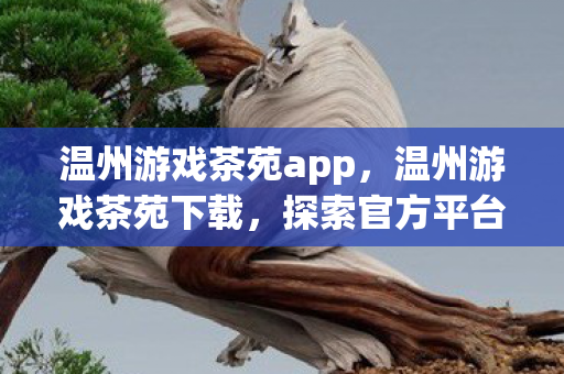 温州游戏茶苑app,温州游戏茶苑下载,探索官方平台的魅力与便捷 温州游戏茶苑app,温州游戏茶苑下载,探索官方平台的魅力与便捷